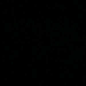 Meet your Posher, Ariana